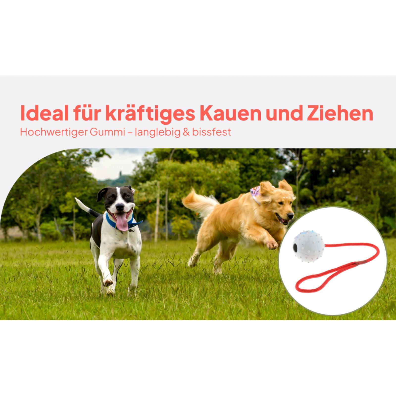 Rubber Treat Dispensing Dog Toy - ペットトレーニングおもちゃ ソフトラバーチューボール 知育玩具 フードディスペンサー 犬用おやつ入れ ガムクリーニング