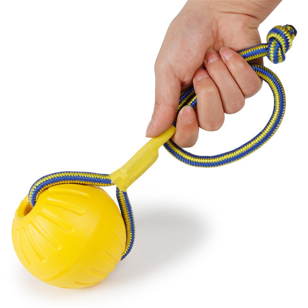 ペット、犬のトレーニング、チョプレイ、フェッチバイトトイ、イ - Indestructible Dog Chew Toy のレビューと価格