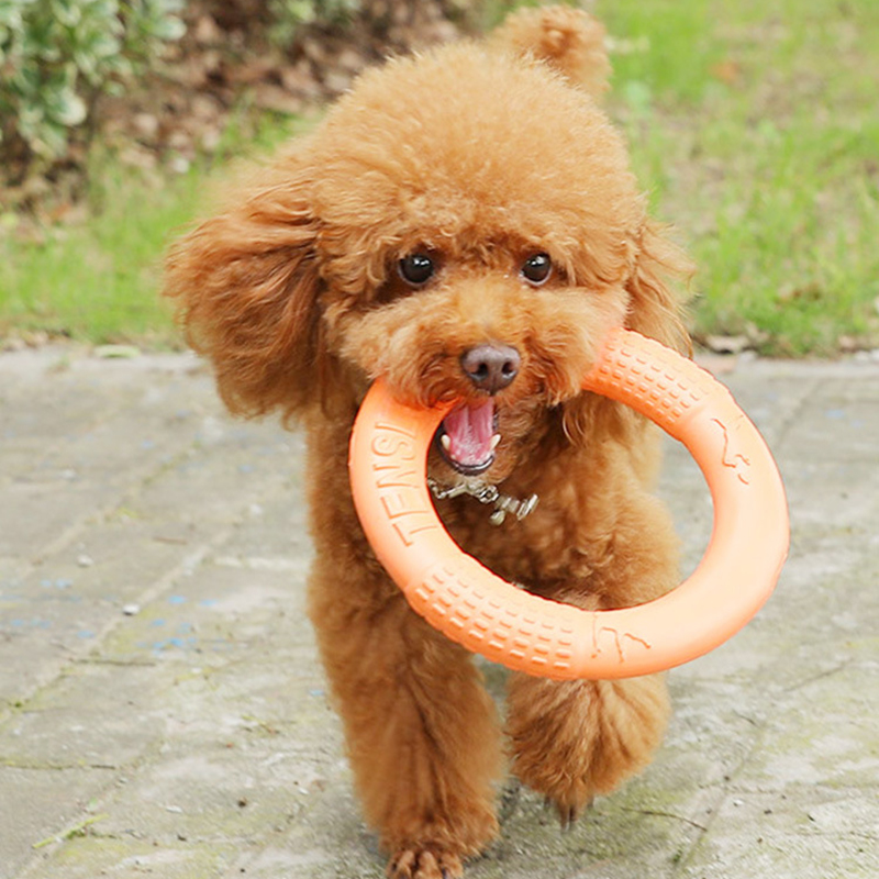 オレンジ色の犬のおもちゃペットフライングディスクトレーニング - Suction Cup Dog Tug Toy のレビューと価格