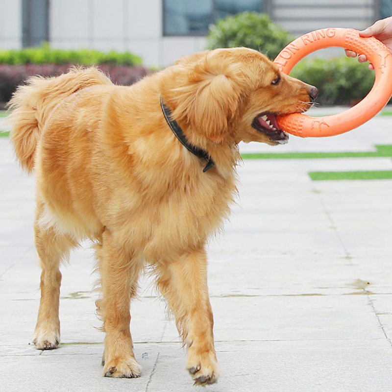 オレンジ色の犬のおもちゃペットフライングディスクトレーニング - Suction Cup Dog Tug Toy のレビューと価格