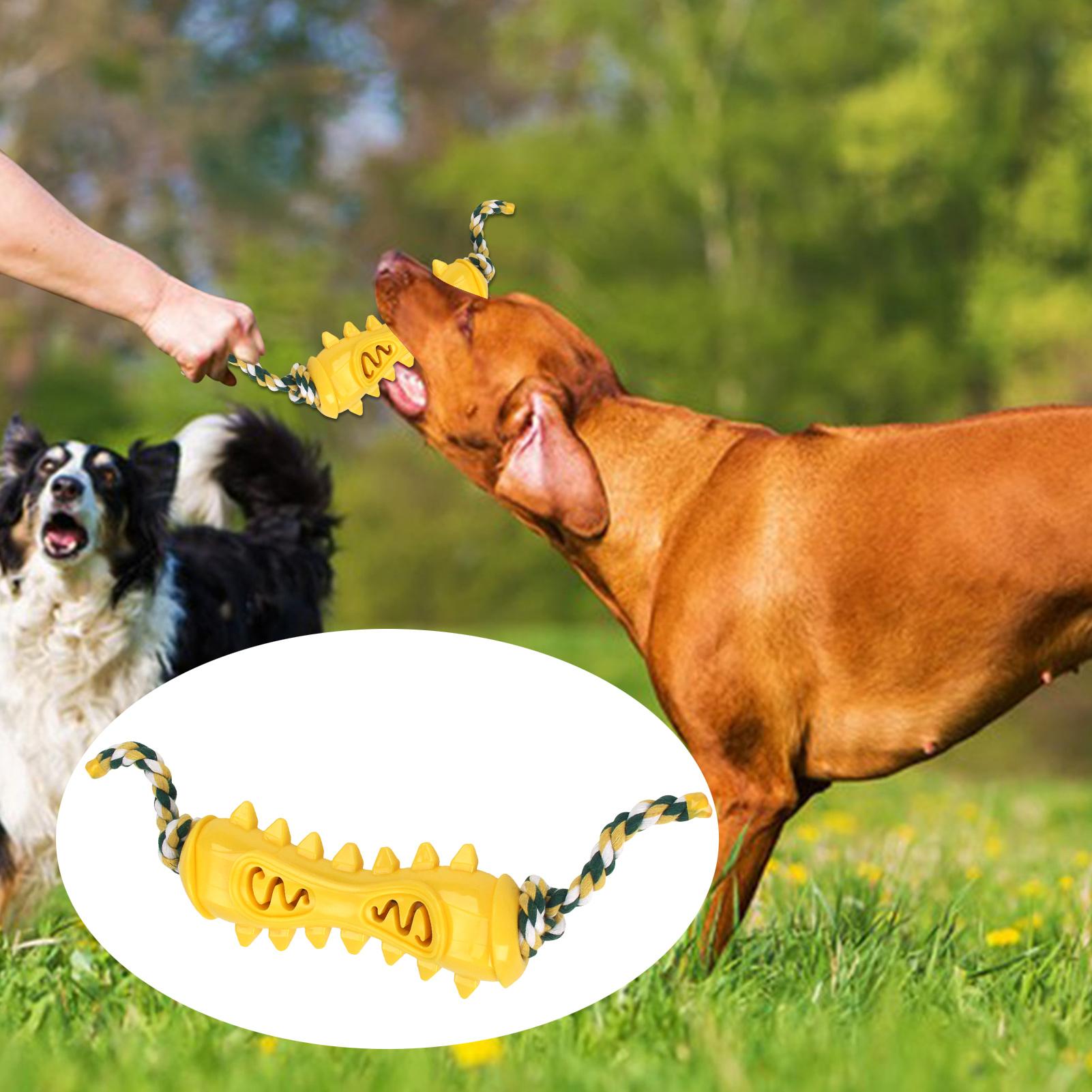 攻撃的な噛みつき癖のある犬のための噛むおもちゃ 歯が生える時 - Dog Rope Toy Aggressive Chewers のレビューと価格