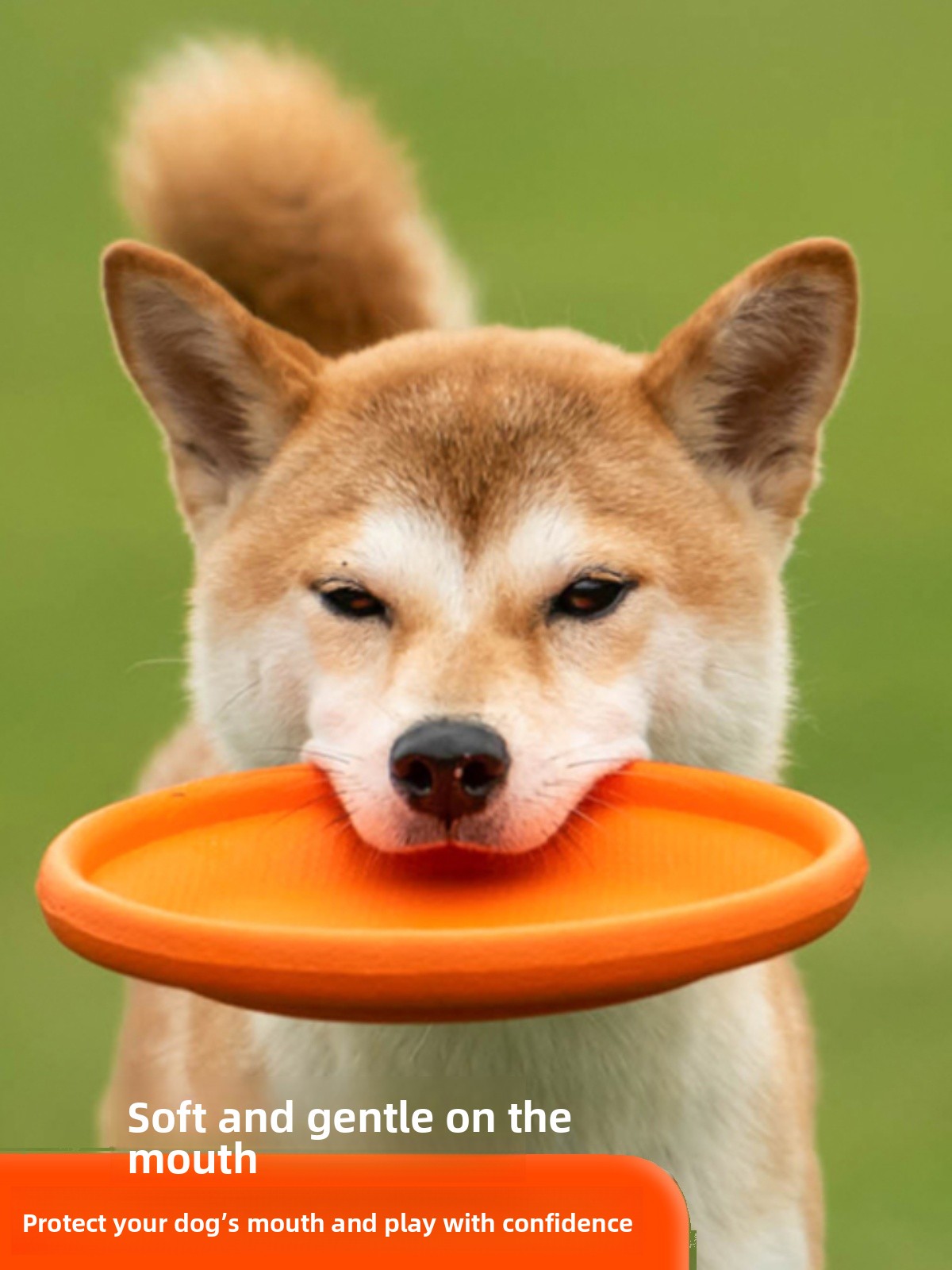 犬用フライングディスク ソフトで耐久性があり、噛みつきに強い - Flying Disc Dog Training Toy のレビューと価格