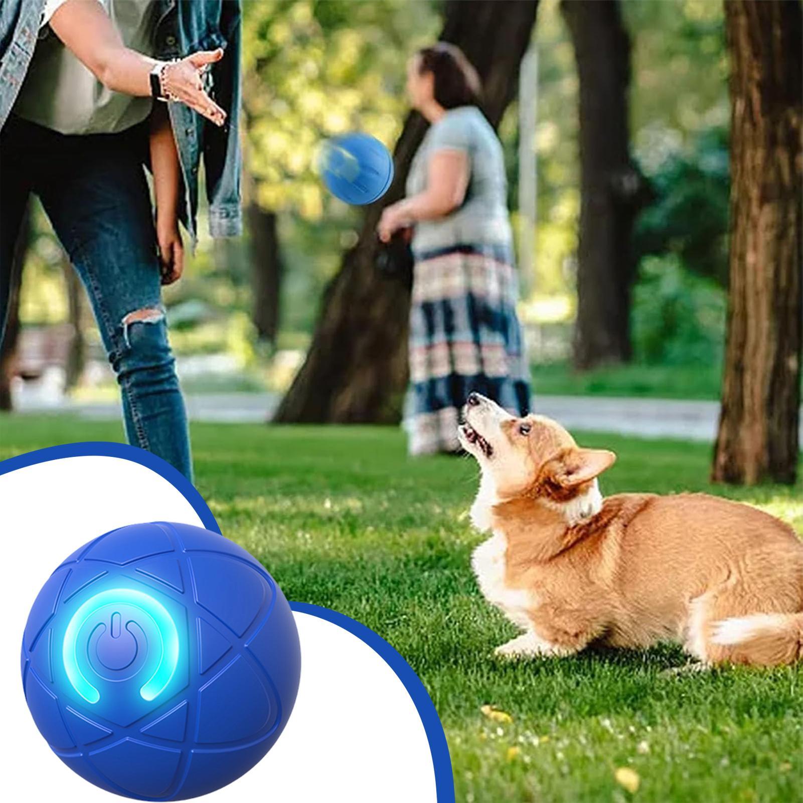 スマートインタラクティブドッグトイ、噛む力の強い犬用、自動移 - Automatic Moving Dog Ball のレビューと価格