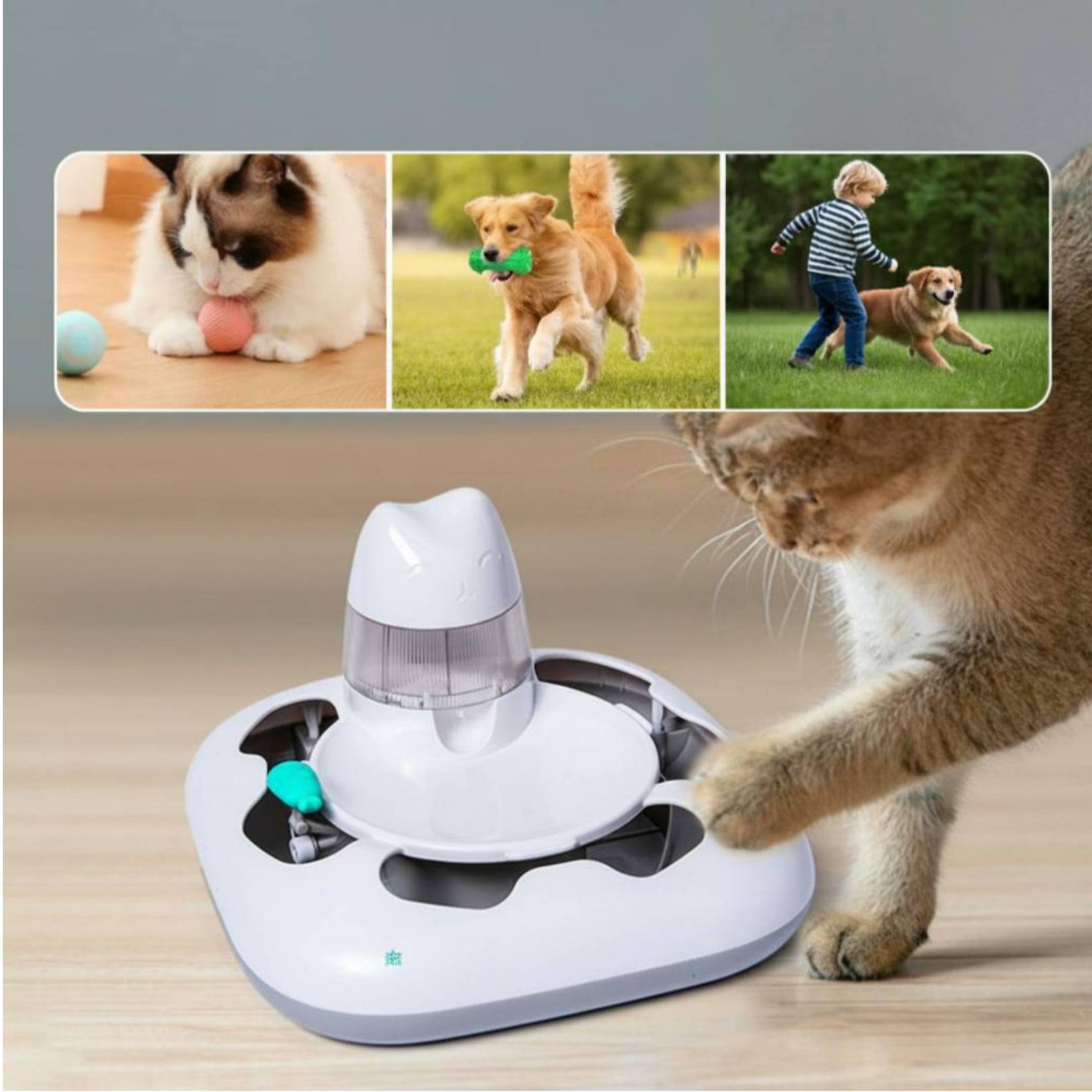 猫狩猟ゲームマシンインタラクティブプレイ自動猫用おもちゃ電子 - Cat Toys のレビューと価格