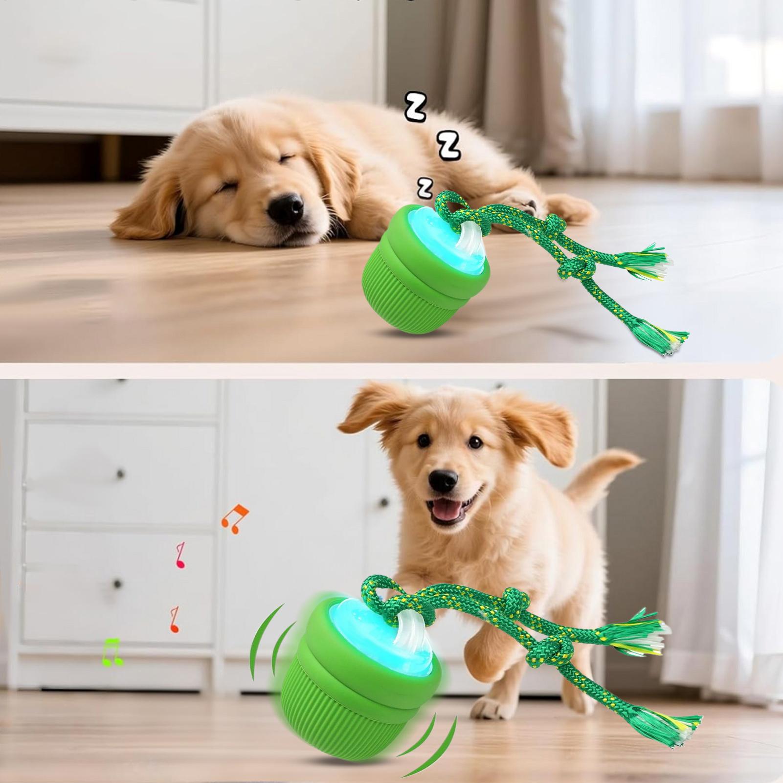 インタラクティブドッグボール 自動移動 噛めるボール 犬用  - Automatic Moving Dog Ball のレビューと価格