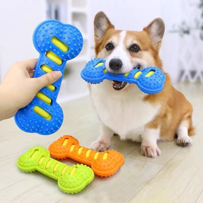 ゴム製犬用臼歯スティック 無毒歯磨き噛むおもちゃ 耐久性のあ - Teeth Cleaning Dog Chew Bone のレビューと価格
