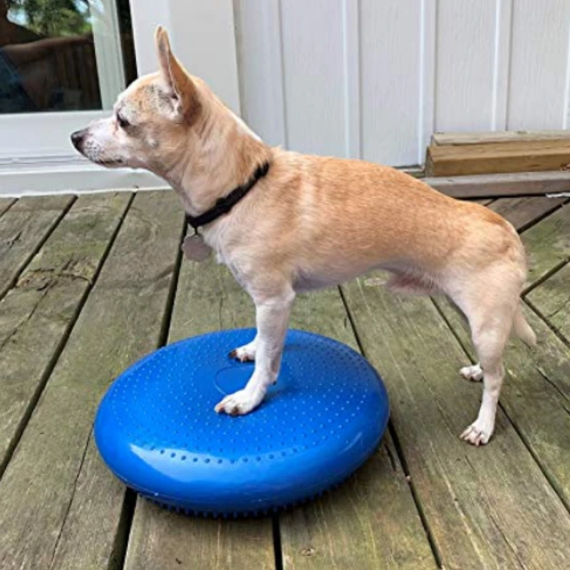 バランスの取れた空飛ぶ円盤,ペット,犬のトレーニング,フィッ - Flying Disc Dog Training Toy のレビューと価格