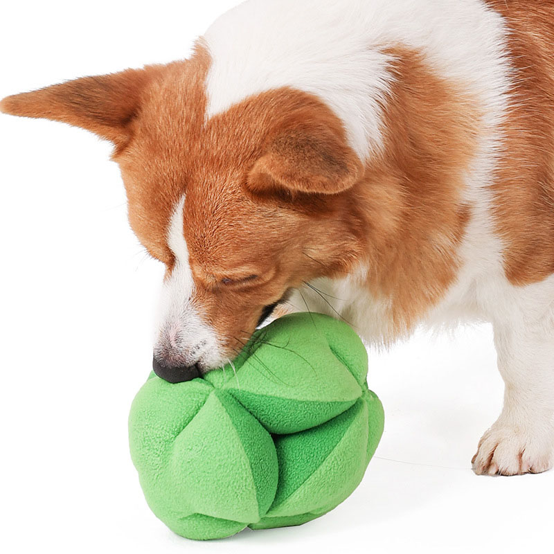 スナッフルブロッコリー犬用パズルおもちゃ、IQ向上、ゆっくり - Dog Puzzle Feeder Toy のレビューと価格