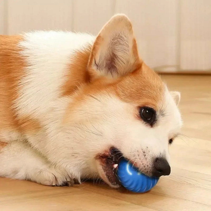 犬用おもちゃボール 自動移動 バウンス ローリングボール U - Automatic Moving Dog Ball のレビューと価格