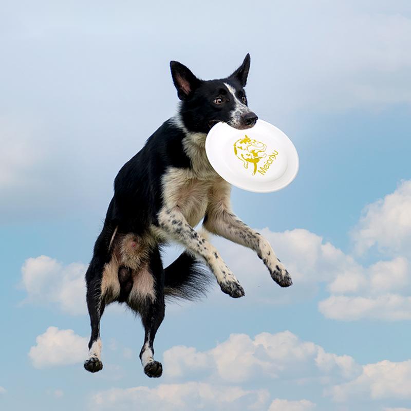 Ouzey-犬用の耐衝撃性飛行ディスクのおもちゃ,インタラク - Flying Disc Dog Training Toy のレビューと価格