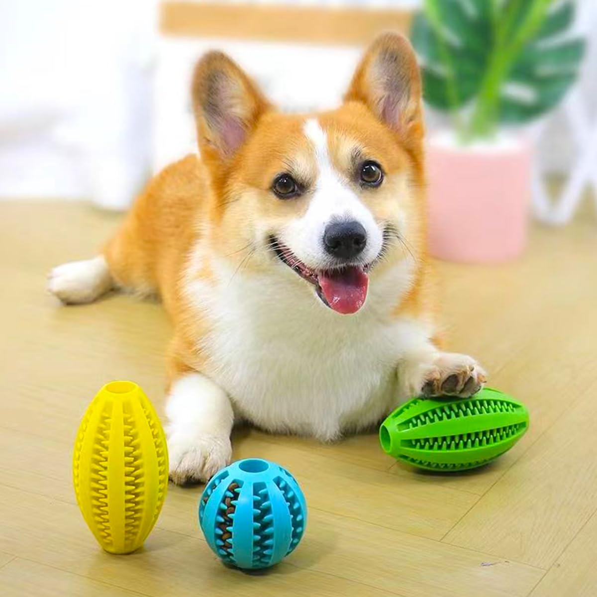 ペットの犬の噛むおもちゃ歯のクリーニングスナックボールペット - Indestructible Dog Chew Toy のレビューと価格