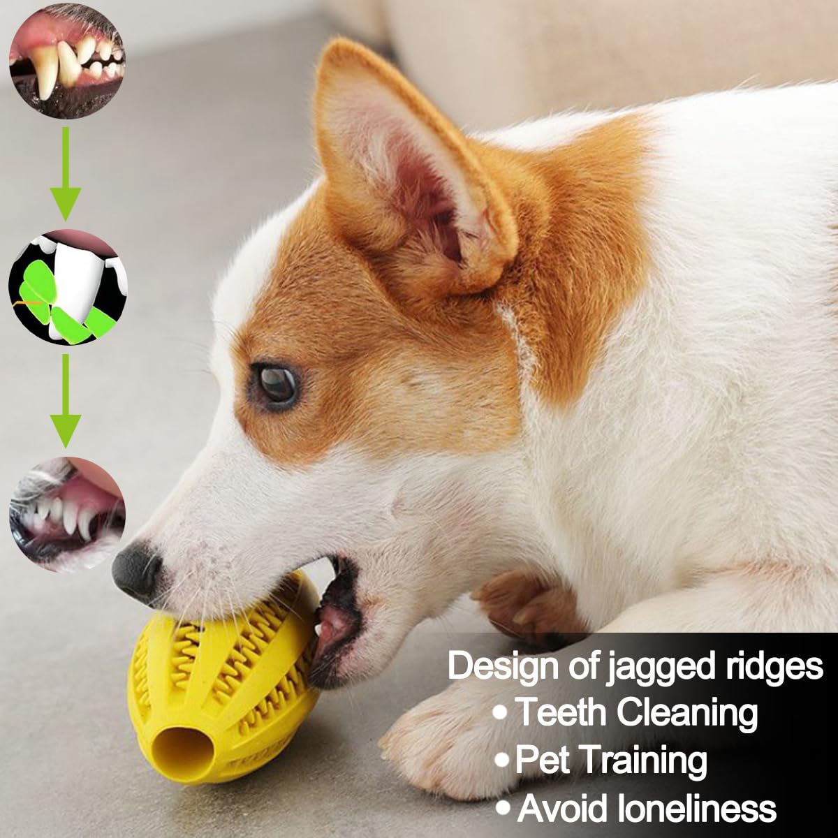 ペットの犬の噛むおもちゃ歯のクリーニングスナックボールペット - Indestructible Dog Chew Toy のレビューと価格