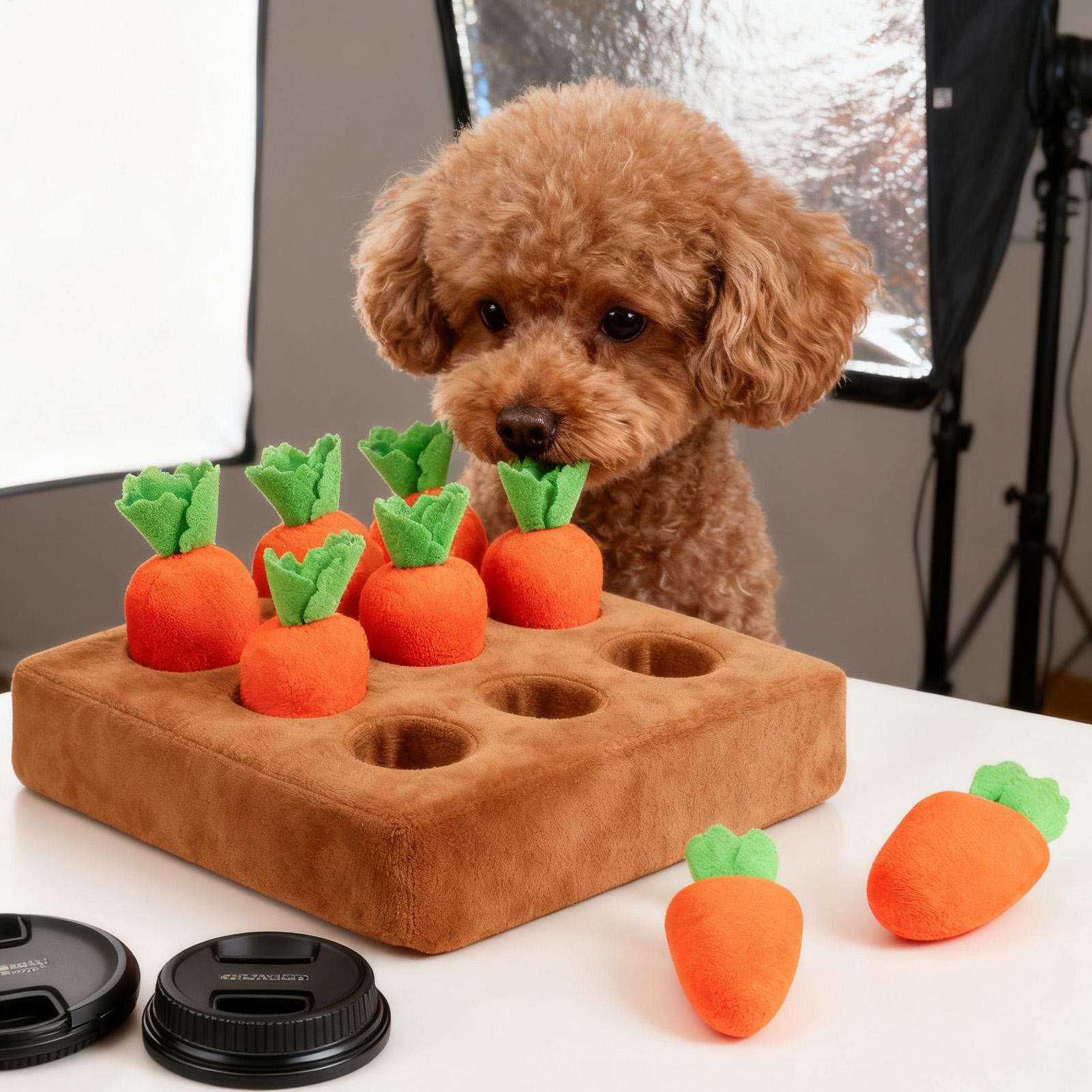 ペット用キャロット型インタラクティブおもちゃ 犬用おもちゃ  - Snuffle Mat For Dogs のレビューと価格