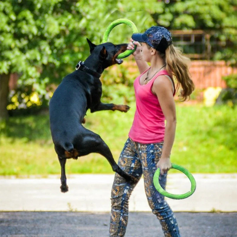 飛んでいるディスクバドッグトレーニングリング,犬のための耐摩 - Suction Cup Dog Tug Toy のレビューと価格