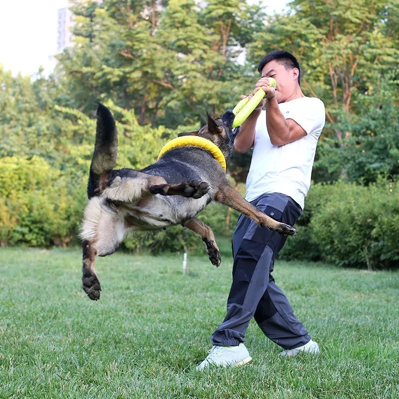 飛んでいるディスクバドッグトレーニングリング,犬のための耐摩 - Suction Cup Dog Tug Toy のレビューと価格