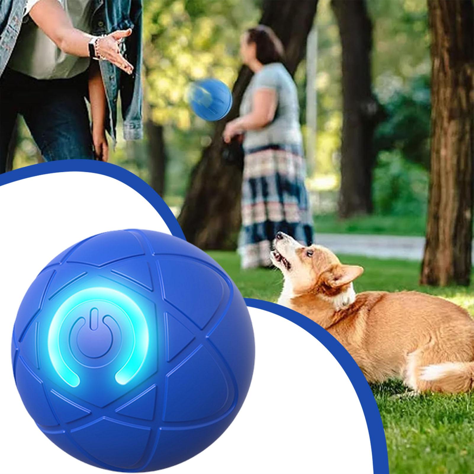 1個入りペット用おもちゃボール、自動移動犬用おもちゃボール、 - Automatic Moving Dog Ball のレビューと価格