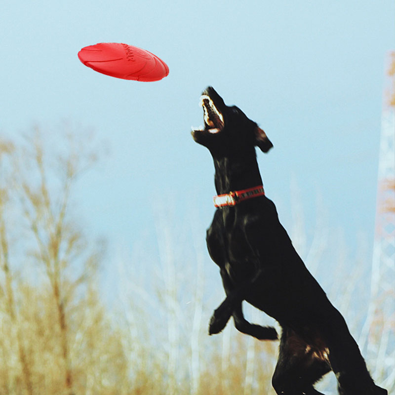 ゴムペット犬フライングディスクソーサーおもちゃ小中面白い犬子 - Flying Disc Dog Training Toy のレビューと価格