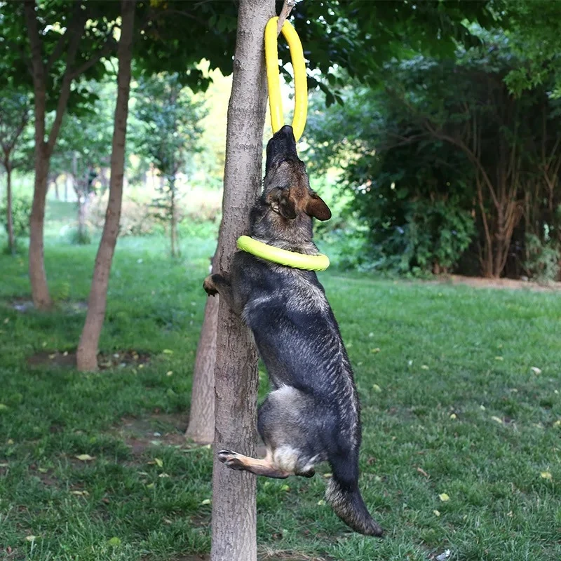 犬のおもちゃペットフライングディスクEVA犬用トレーニングリ - Flying Disc Dog Training Toy のレビューと価格