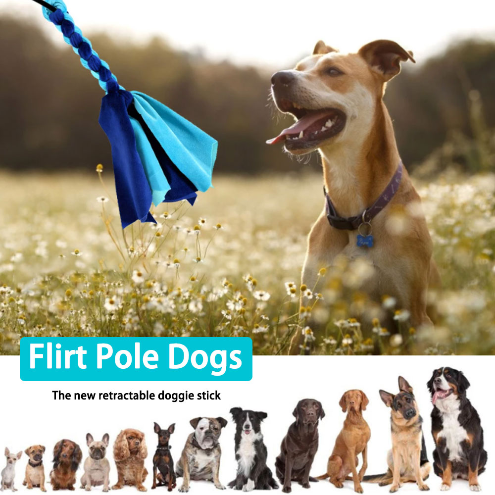 格納式犬スティックインタラクティブ犬のおもちゃ拡張可能な浮気 - Indestructible Dog Chew Toy のレビューと価格