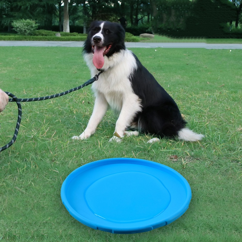犬と猫のためのインタラクティブなシリコン製フライングソーサー - Flying Disc Dog Training Toy のレビューと価格
