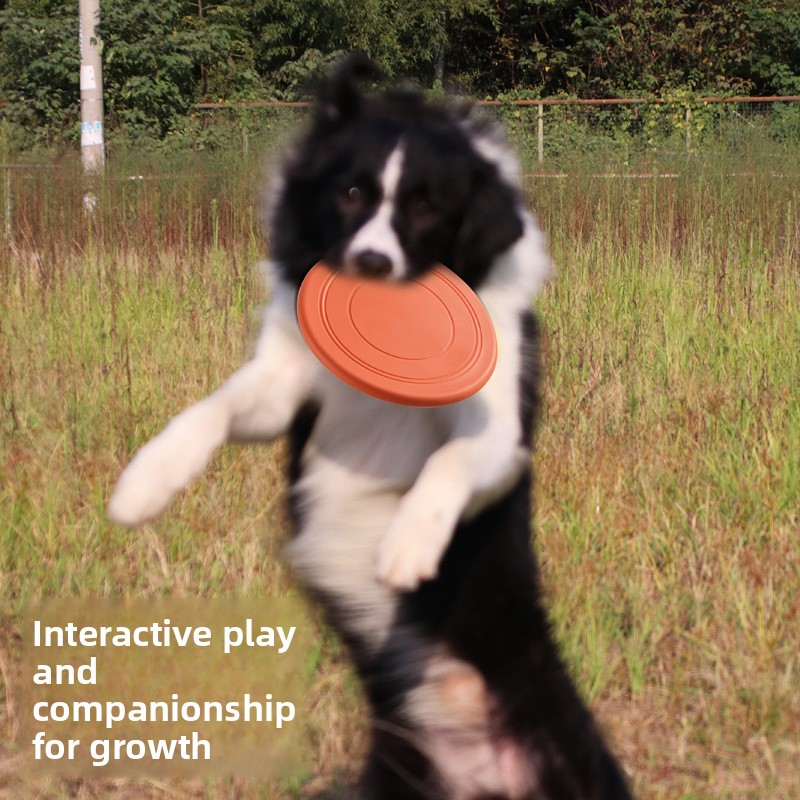 耐噛み性フローティングソフトペットフライングディスクインタラ - Flying Disc Dog Training Toy のレビューと価格