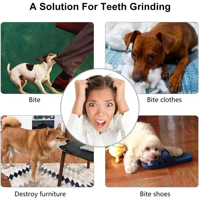 1個入り犬用おやつボール、インタラクティブフードディスペンシ - Rubber Treat Dispensing Dog Toy のレビューと価格