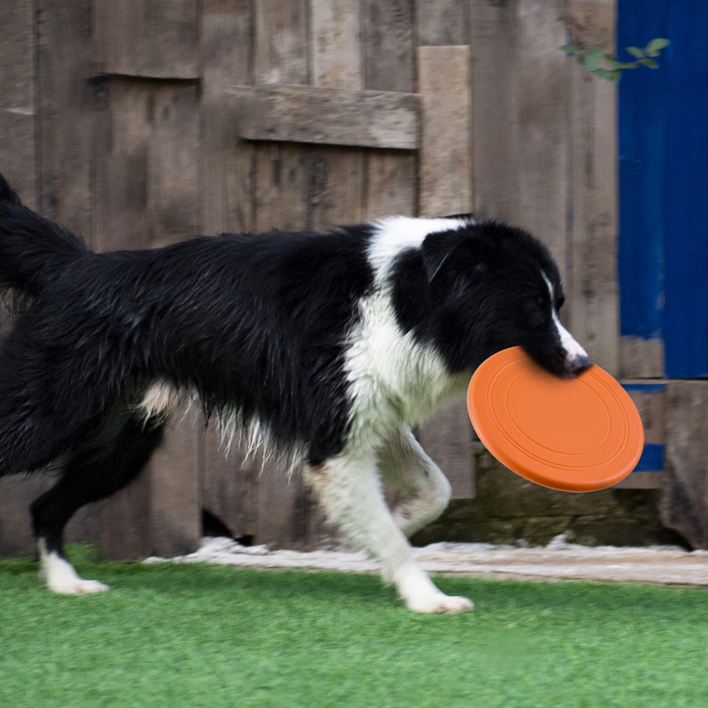 シリコーン空飛ぶ円盤面白い犬猫のおもちゃ犬ゲームフライングデ - Flying Disc Dog Training Toy のレビューと価格