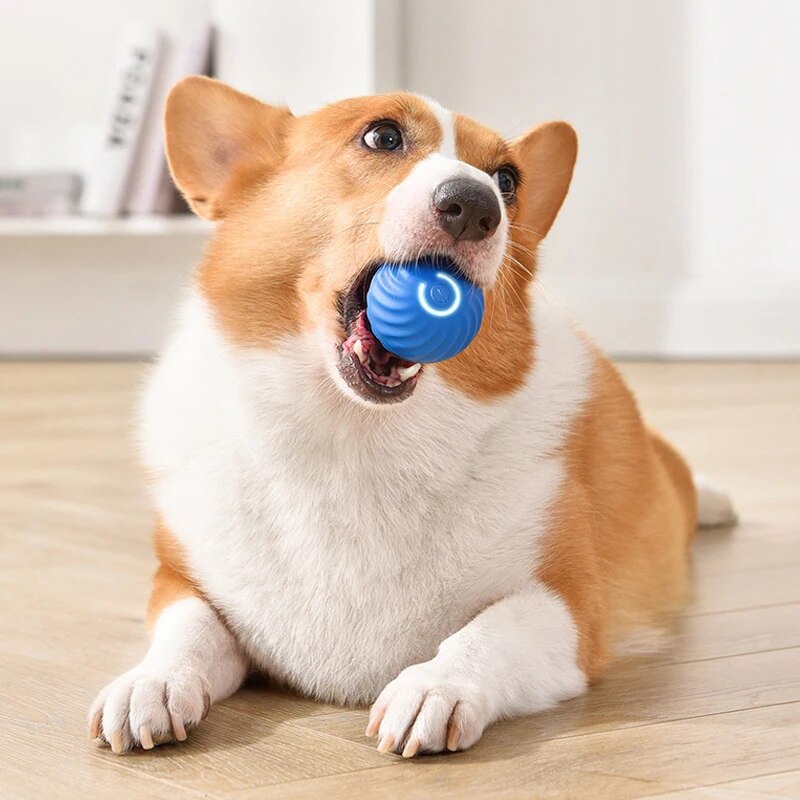 犬と猫のためのインテリジェントな重力ジャンプボール,充電式, - Suction Cup Dog Tug Toy のレビューと価格