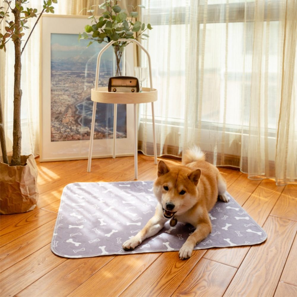 耐久性のある超吸収ペットベッドマット、再利用可能で洗える子犬 - Pet Beds のレビューと価格