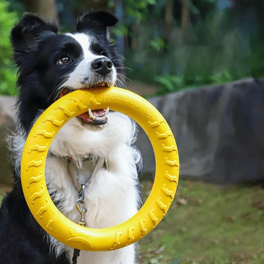 犬用リングおもちゃ、壊れにくい噛むおもちゃ、飛んで浮くトレー - Indestructible Dog Chew Toy のレビューと価格