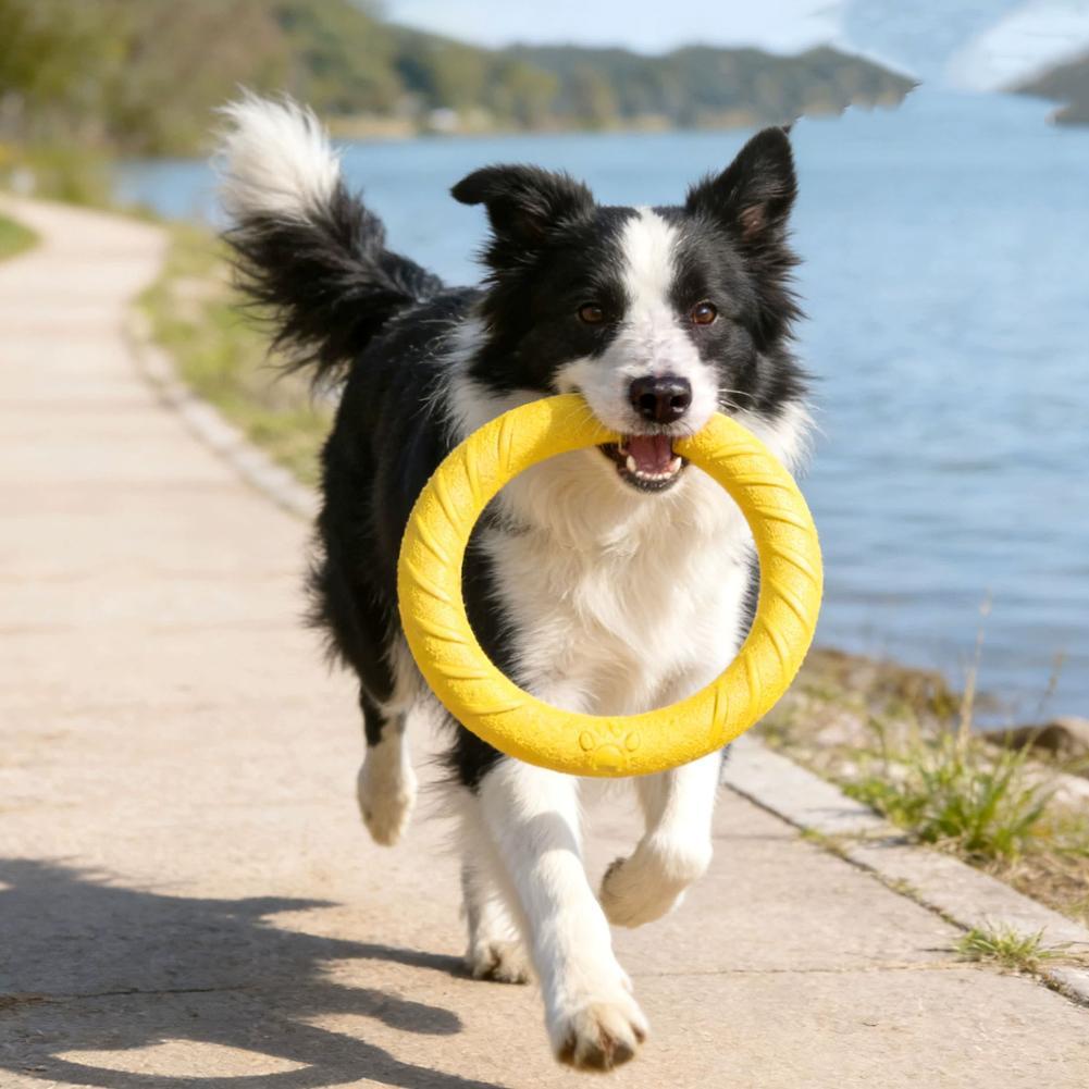犬用リングおもちゃ、壊れにくい噛むおもちゃ、飛んで浮くトレー - Indestructible Dog Chew Toy のレビューと価格