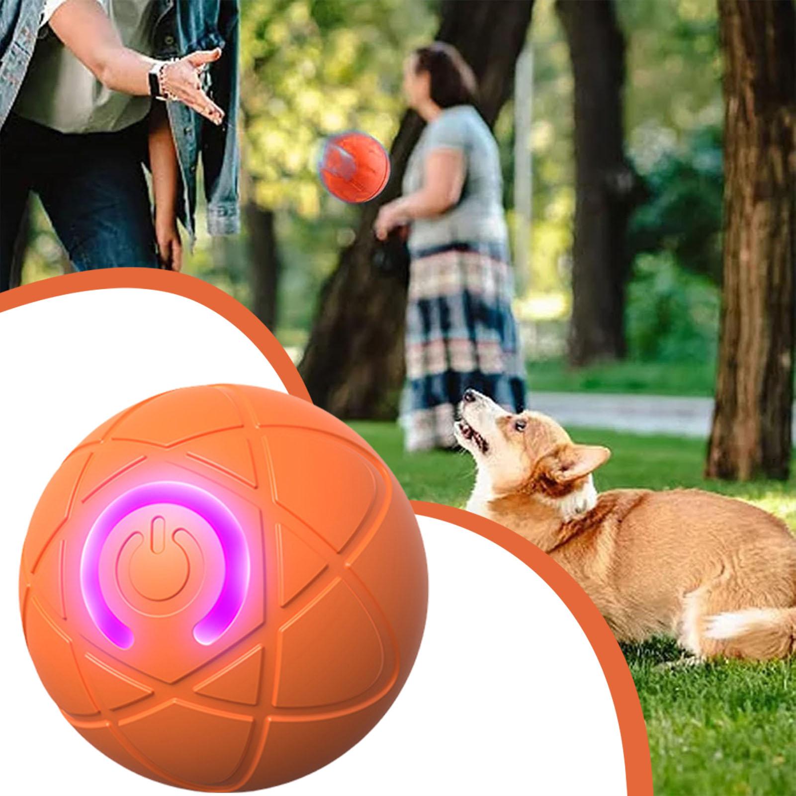 犬用おもちゃボール インタラクティブローリングボール 自動移 - Automatic Moving Dog Ball のレビューと価格