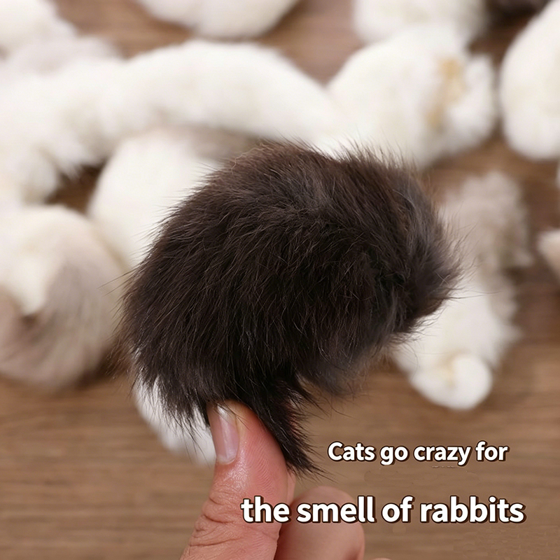 2個入り天然ウサギの尻尾猫用おもちゃ、香り付きぬいぐるみ噛む - Interactive Squeaky Plush Dog Toy のレビューと価格