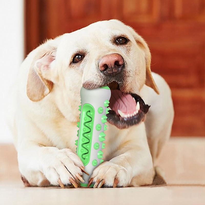 TPR製犬用臼歯スティック噛むおもちゃ、耐久性のある歯磨きボ - Teeth Cleaning Dog Chew Bone のレビューと価格