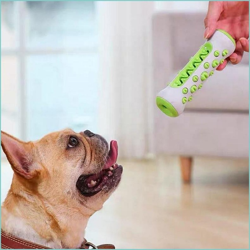 TPR製犬用臼歯スティック噛むおもちゃ、耐久性のある歯磨きボ - Teeth Cleaning Dog Chew Bone のレビューと価格