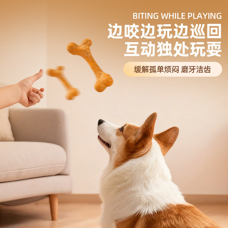 犬用おもちゃTPR耐久性のある噛みつき防止歯磨きおもちゃ、肉 - Teeth Cleaning Dog Chew Bone のレビューと価格