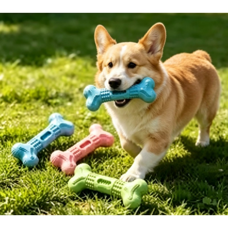 新しい耐久性のあるペット用噛み玩具セット 犬の歯が生える時期 - Teeth Cleaning Dog Chew Bone のレビューと価格